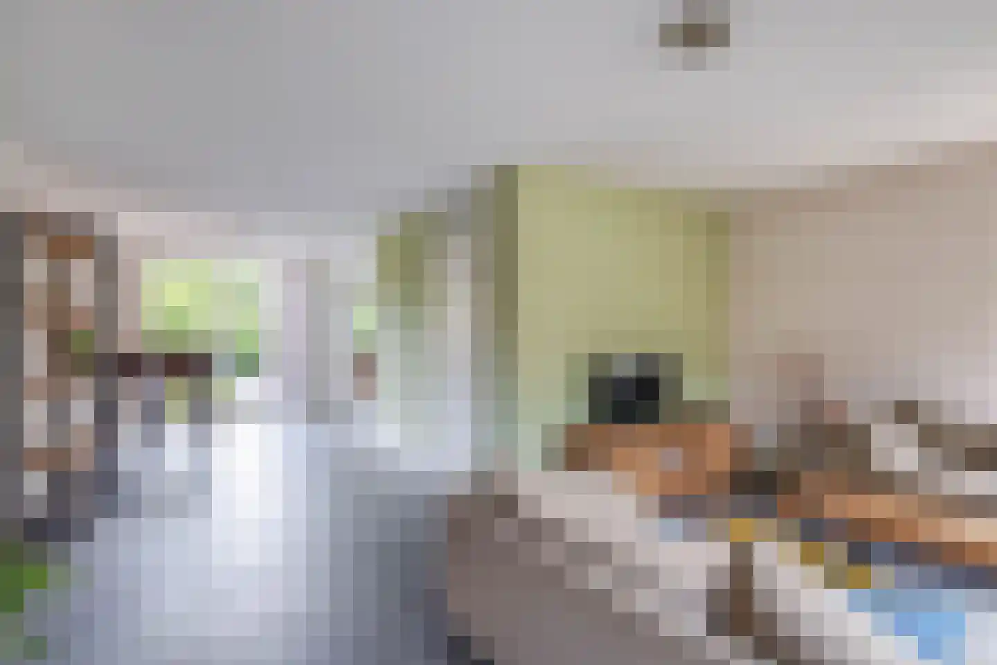 Martin Luther Kingstraat 75 Eindhoven thumbnail 6