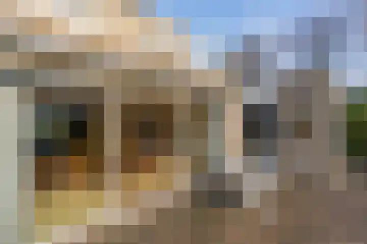 Martin Luther Kingweg 22 Assen thumbnail 55