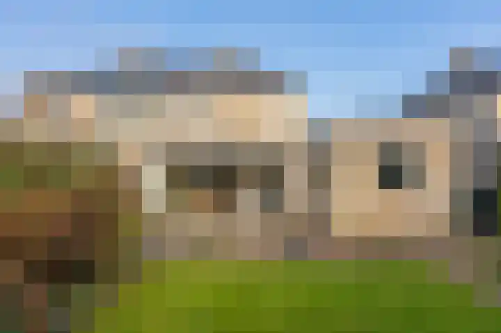 Martin Luther Kingweg 22 Assen thumbnail 62