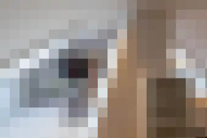Martin Luther Kingweg 26 Assen thumbnail 44