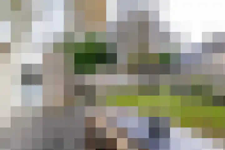 Martin Luther Kingweg 26 Assen thumbnail 49