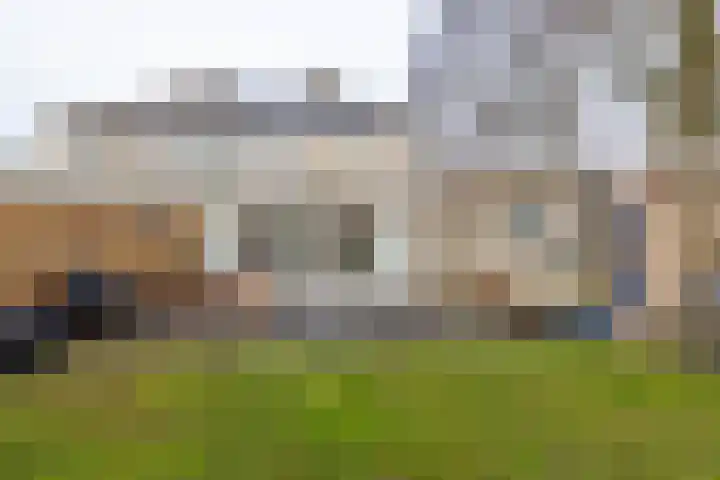 Martin Luther Kingweg 26 Assen thumbnail 50