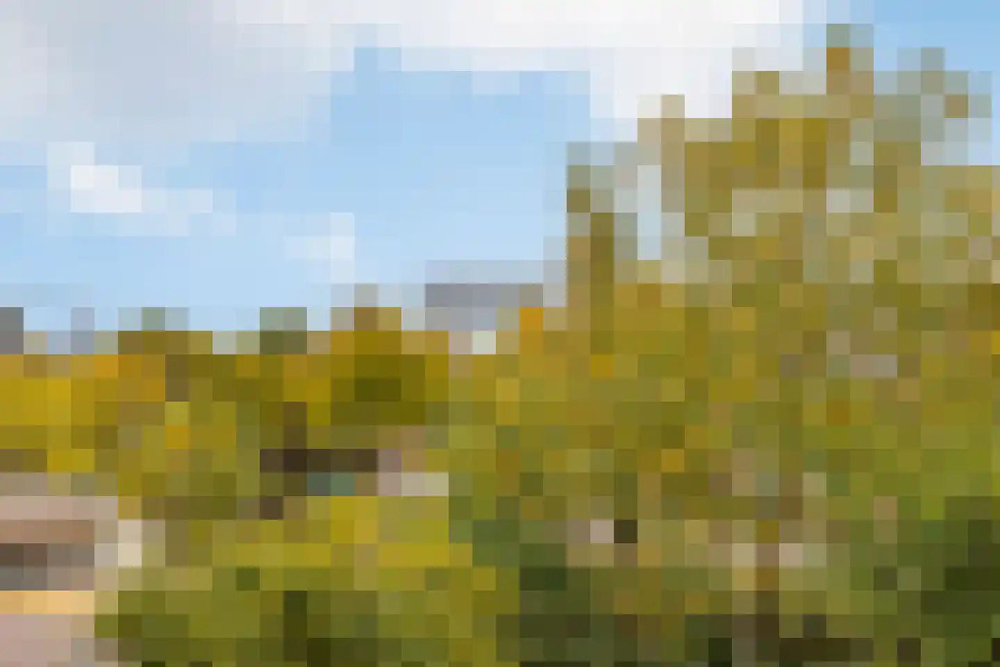 Martin Vlaarkade 29 Amsterdam thumbnail 8