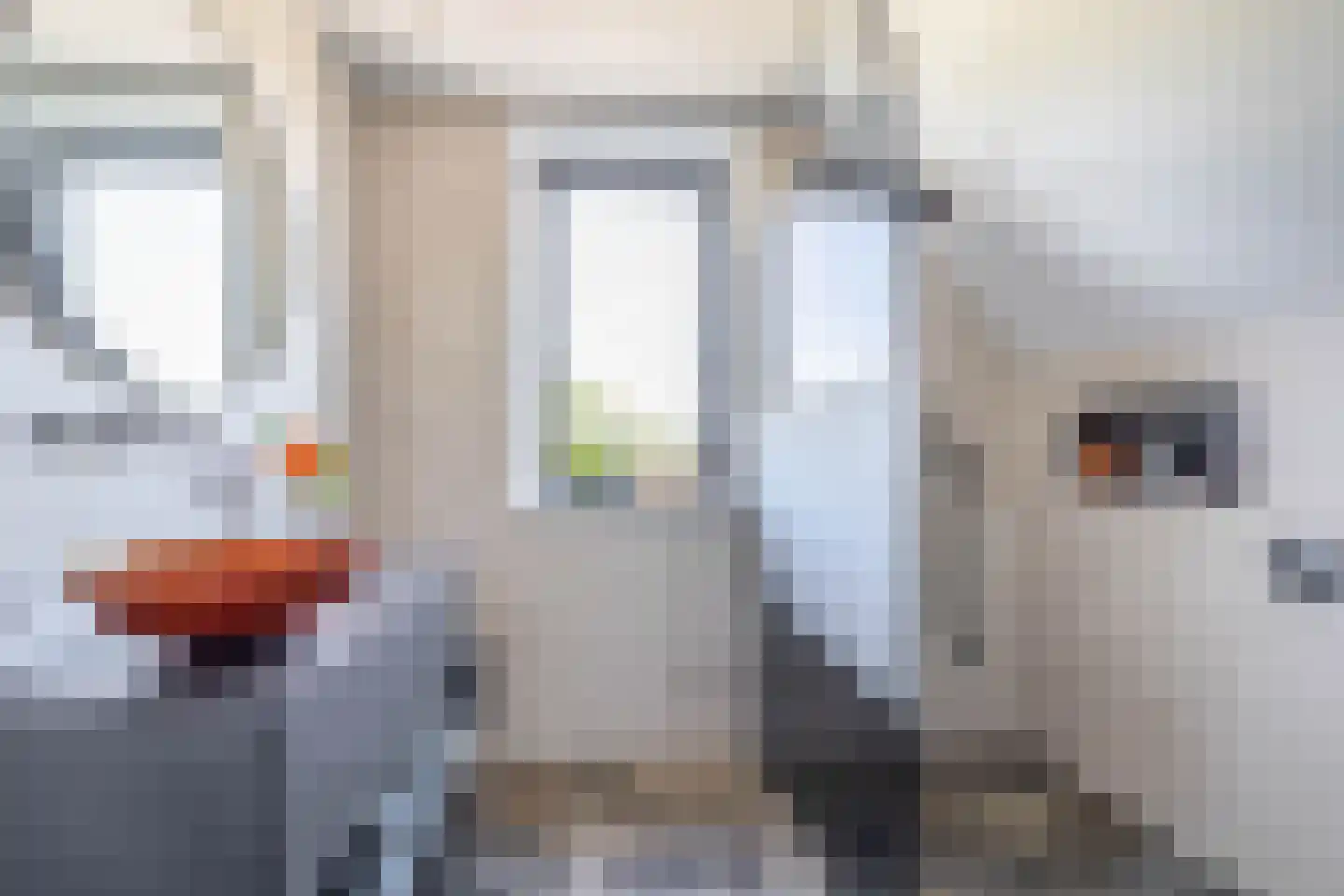 Martinalidonk 29 Helmond thumbnail 30