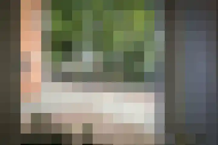 Martinetsingel 20 Zutphen thumbnail 12