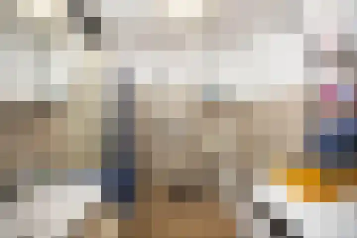 Martinetsingel 20 Zutphen thumbnail 18