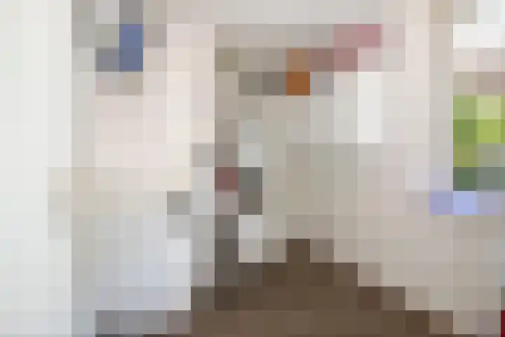 Martinetsingel 20 Zutphen thumbnail 19