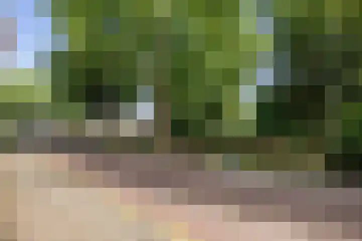 Martinetsingel 20 Zutphen thumbnail 21