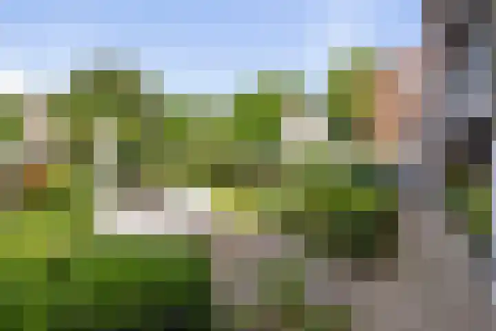 Martinetsingel 20 Zutphen thumbnail 7