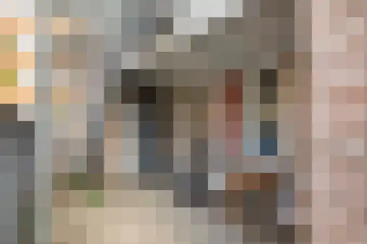 Martinetsingel 20 Zutphen thumbnail 8