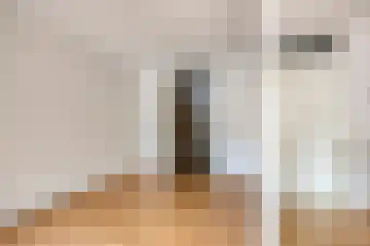 Martinetsingel 32 Zutphen thumbnail 11