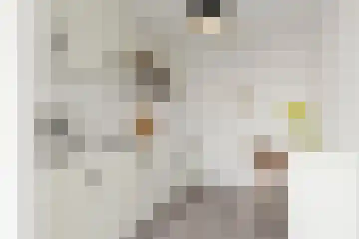Martinetsingel 32 Zutphen thumbnail 13