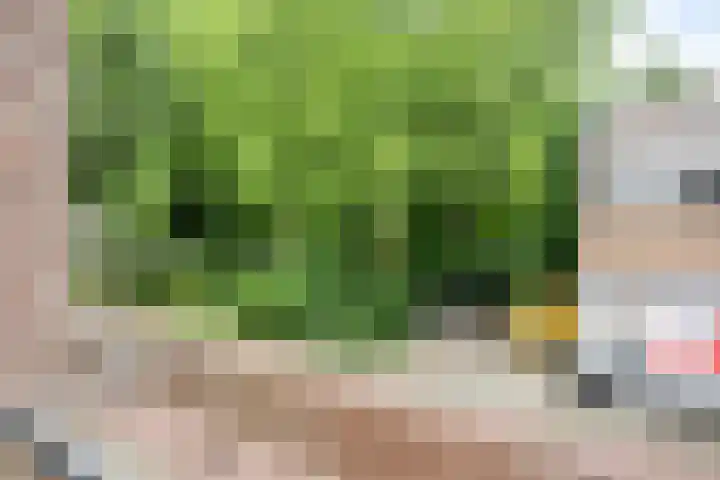 Martinetsingel 32 Zutphen thumbnail 16