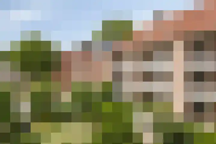 Martinetsingel 32 Zutphen thumbnail 22