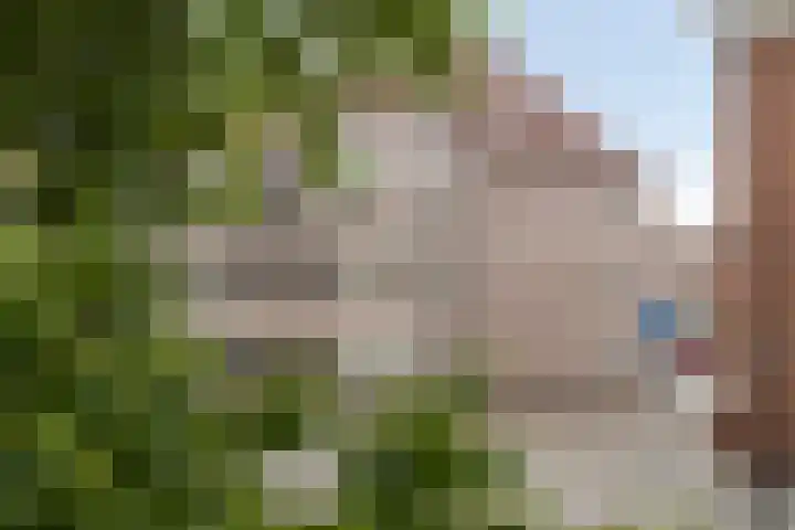 Martinetsingel 32 Zutphen thumbnail 23