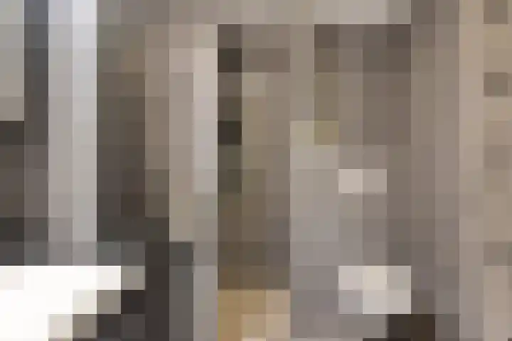 Martinetsingel 40 Zutphen thumbnail 16