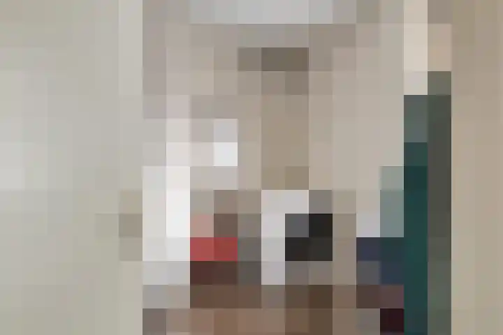 Martinetsingel 40 Zutphen thumbnail 20