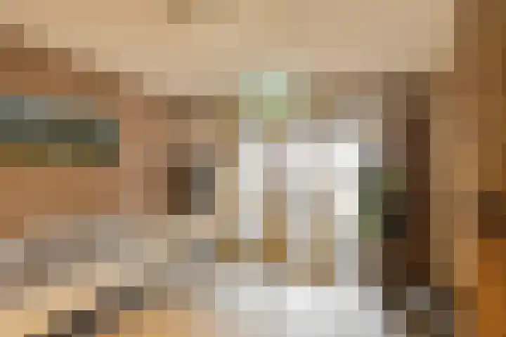 Martinetsingel 40 Zutphen thumbnail 26
