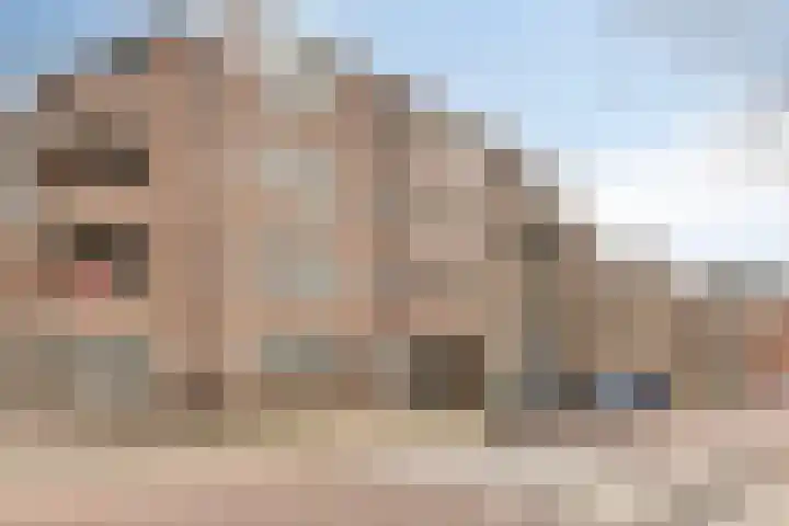 Martinetsingel 40 Zutphen thumbnail 29
