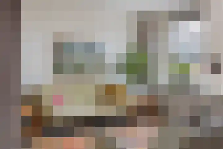 Martinetsingel 40 Zutphen thumbnail 5