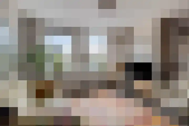 Martinetsingel 40 Zutphen thumbnail 6