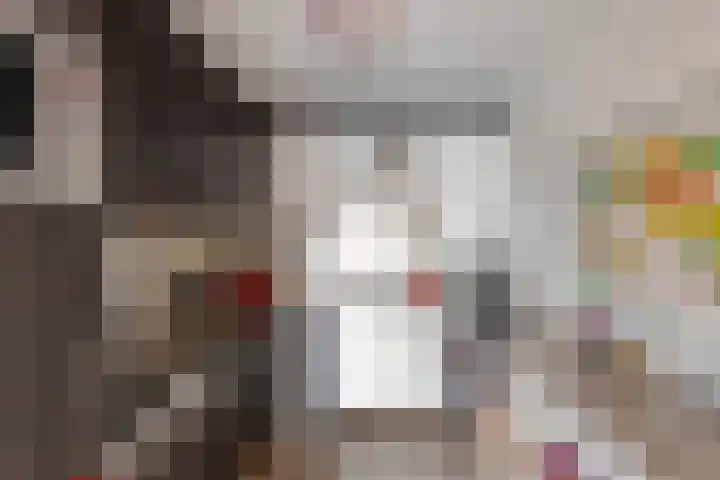 Martinetsingel 40 Zutphen thumbnail 9