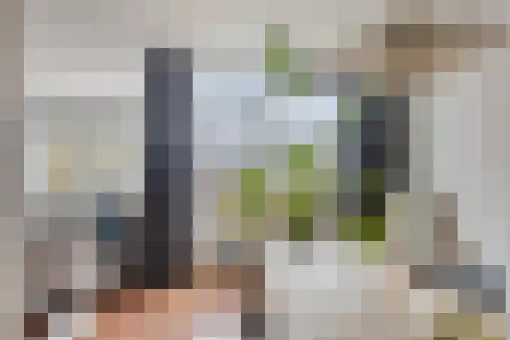 Martinetsingel 46 Zutphen thumbnail 18