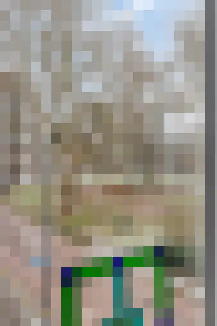 Martinetsingel 46 Zutphen thumbnail 22