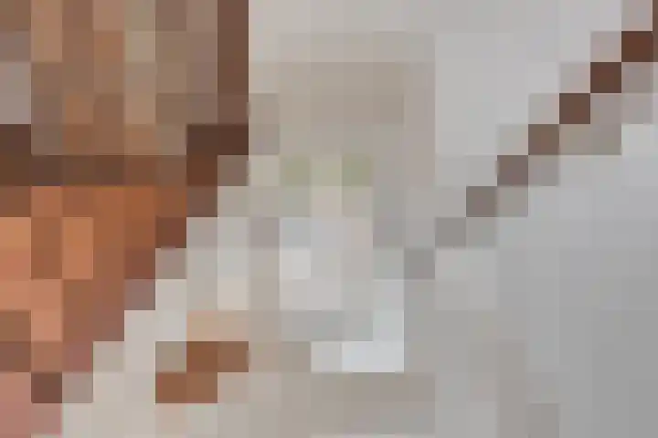 Martinetsingel 46 Zutphen thumbnail 28