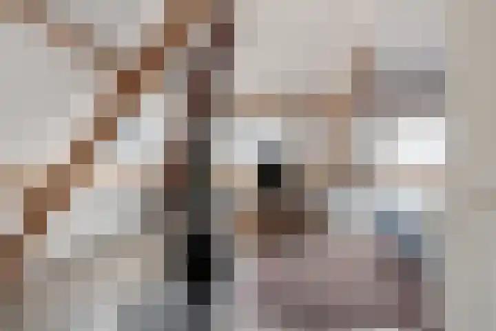Martinetsingel 46 Zutphen thumbnail 31