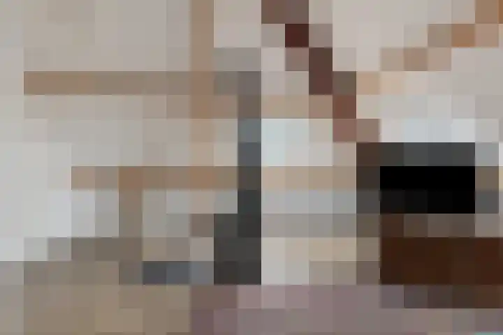 Martinetsingel 46 Zutphen thumbnail 33