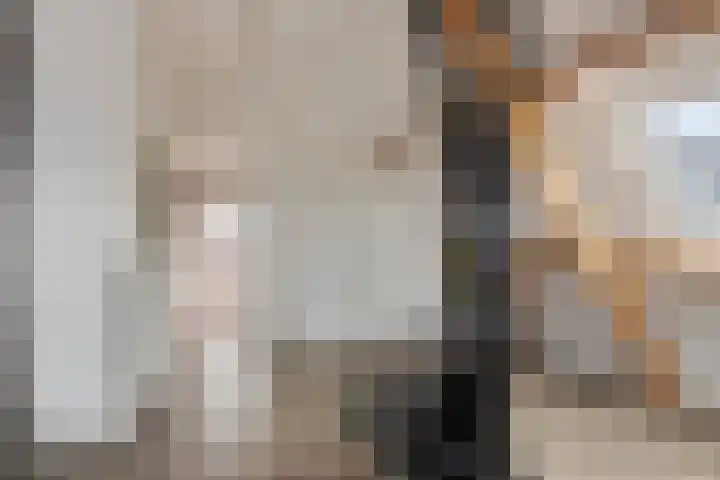Martinetsingel 46 Zutphen thumbnail 34