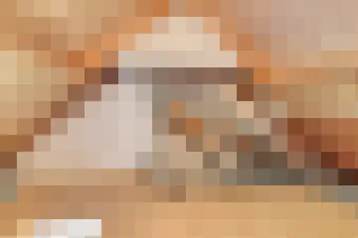 Martinetsingel 46 Zutphen thumbnail 37