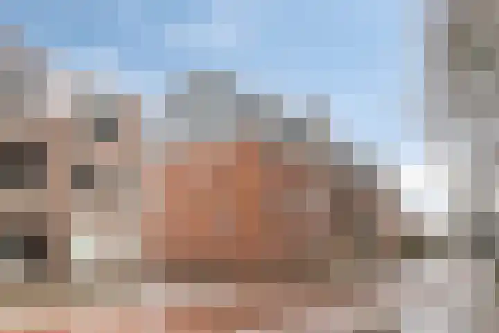 Martinetsingel 46 Zutphen thumbnail 40