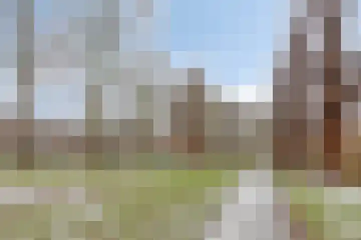 Martinetsingel 46 Zutphen thumbnail 42