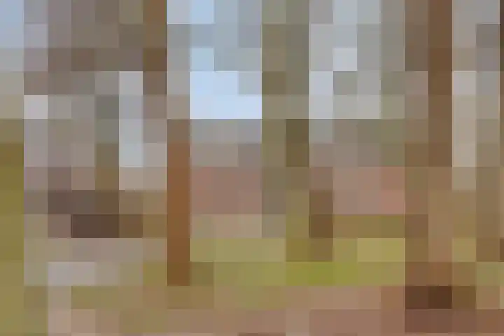 Martinetsingel 46 Zutphen thumbnail 43