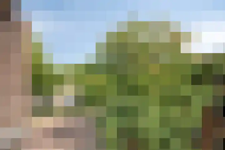 Martinetsingel 84 Zutphen thumbnail 14