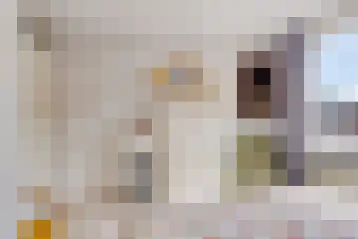 Martinetsingel 84 Zutphen thumbnail 17