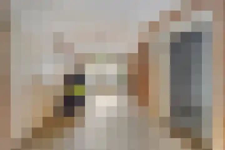 Martinetsingel 84 Zutphen thumbnail 24