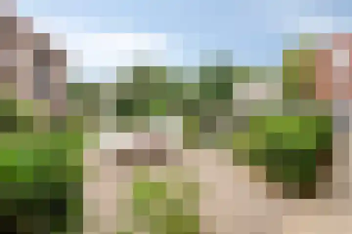 Martinetsingel 84 Zutphen thumbnail 26