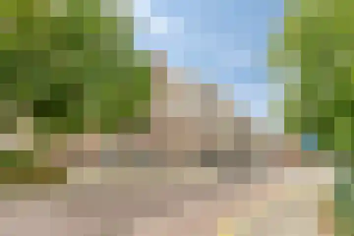 Martinetsingel 84 Zutphen thumbnail 30