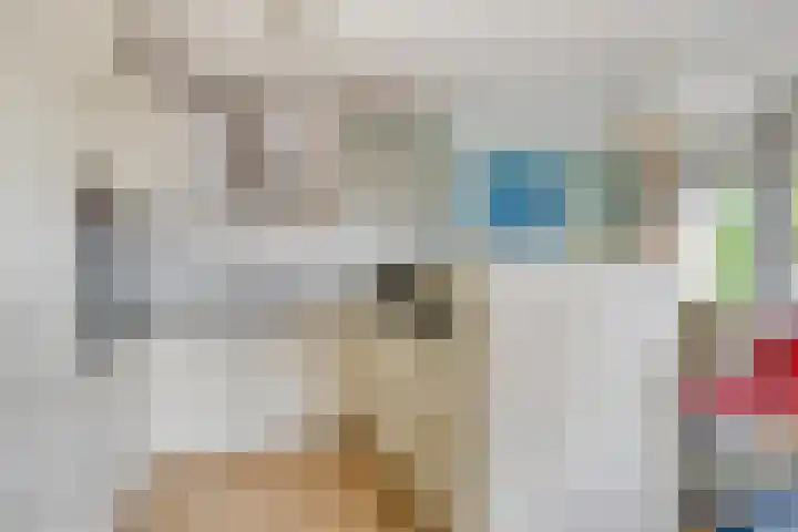 Martinetsingel 84 Zutphen thumbnail 9