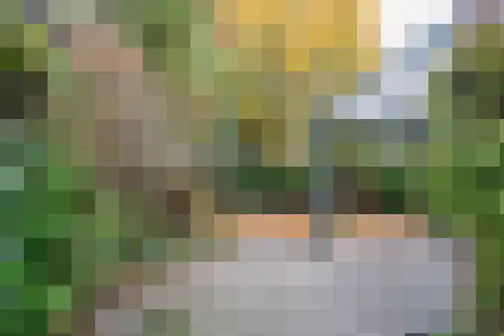 Martinetstraat 26 Deurne thumbnail 25
