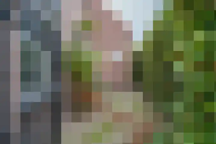 Martinetstraat 26 Deurne thumbnail 31