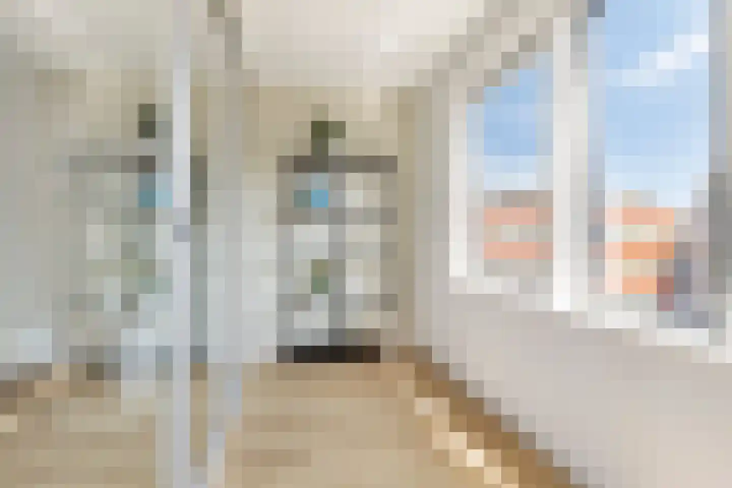 Martini van Geffenstraat 104 Amsterdam thumbnail 10