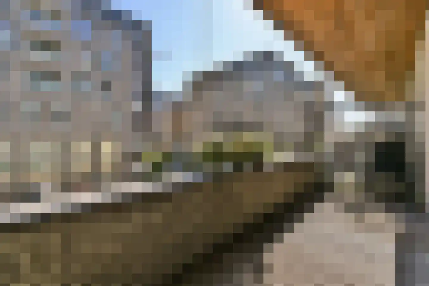 Martini van Geffenstraat 120 Amsterdam thumbnail 15