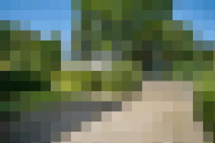 Martinilaan 21 Vught thumbnail 10