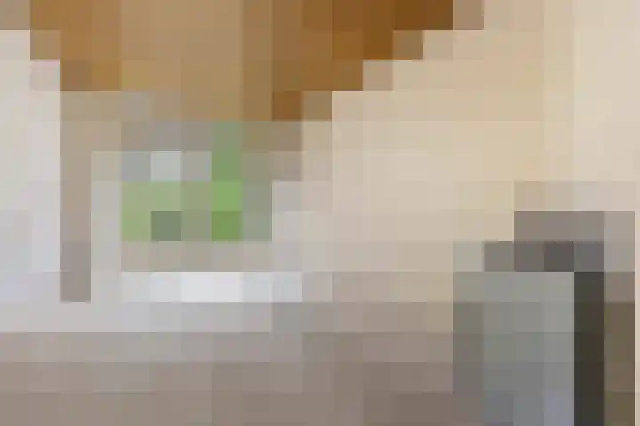Martinilaan 21 Vught thumbnail 22