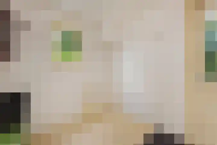 Martinilaan 21 Vught thumbnail 27