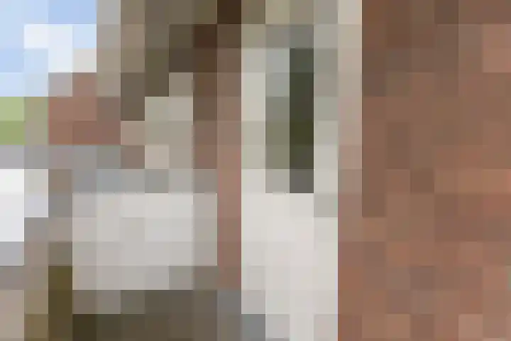 Martinilaan 21 Vught thumbnail 33